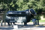 wisconsin-40-silvercryst-great-steaks-sign-in-wautoma