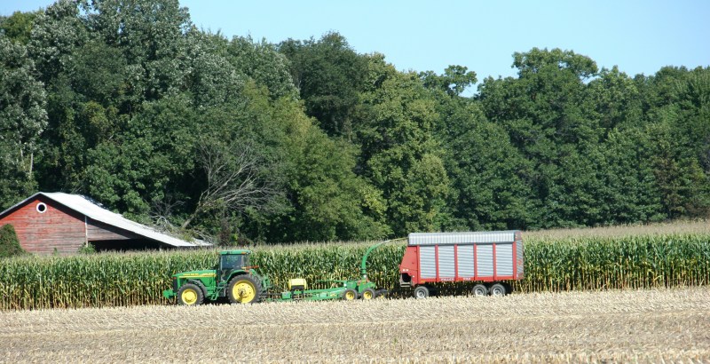 Making silage.