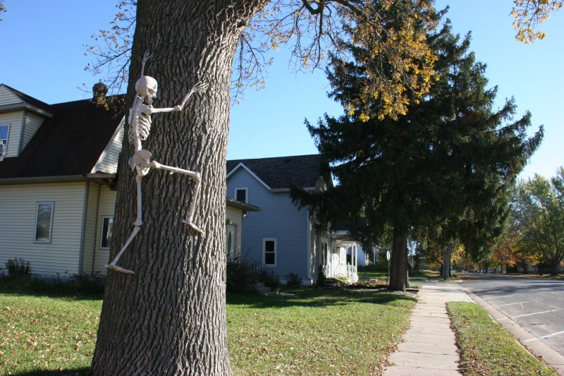 Along Main Street in Hayfield, Brianna and Ryan Kuster have decorated their property for Halloween.
