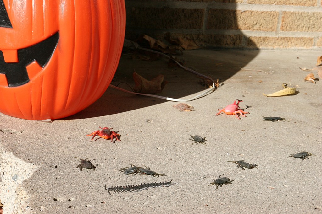 halloween-38-bugs-on-steps