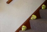 halloween-photos-40-skulls-on-stairway