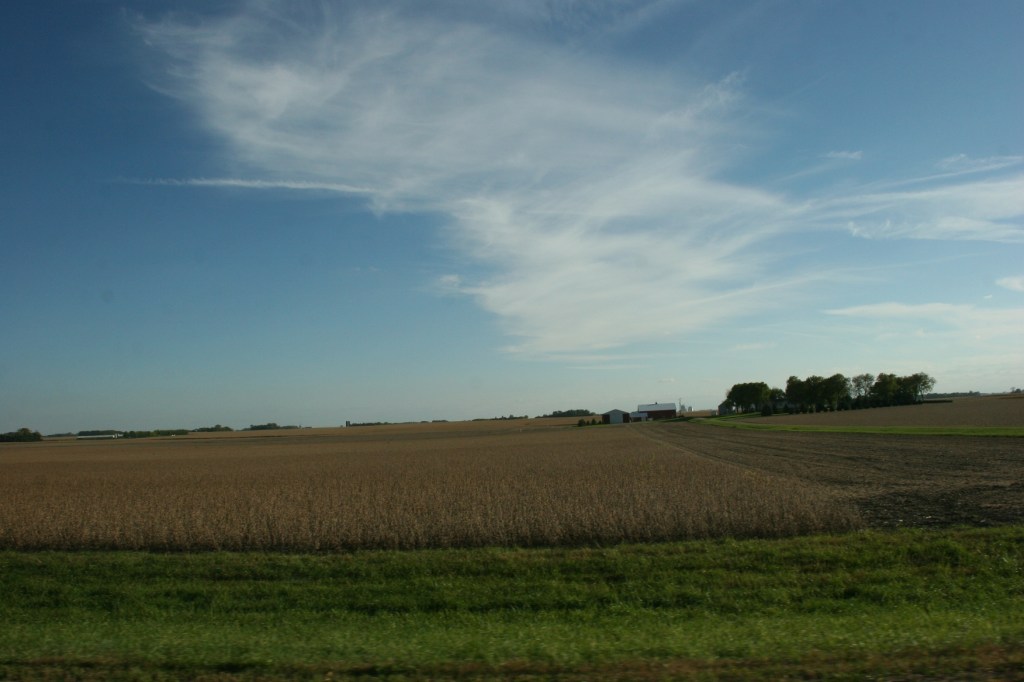 Somewhere between Morgan and New Ulm, in the middle of prime Minnesota farm land.
