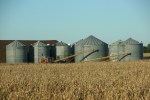 harvest-178-grain-bins-near-waterville
