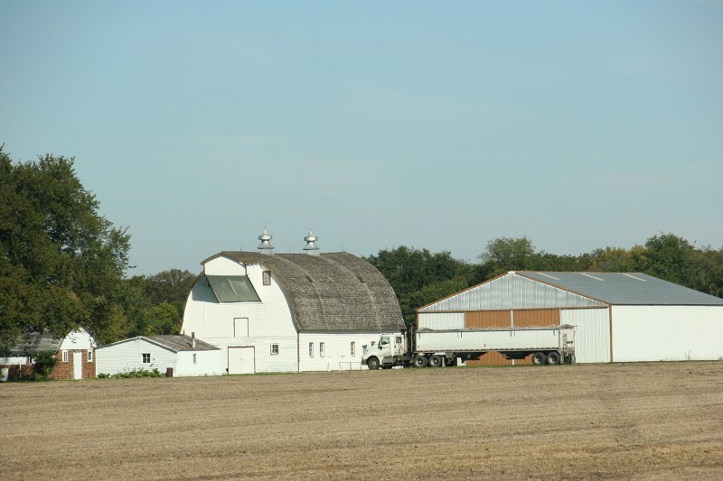 White among fields of golden crops.