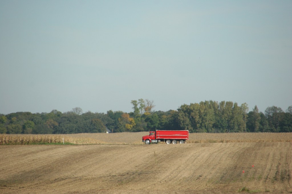 A red grain truck jolts color into a field near New Ulm.