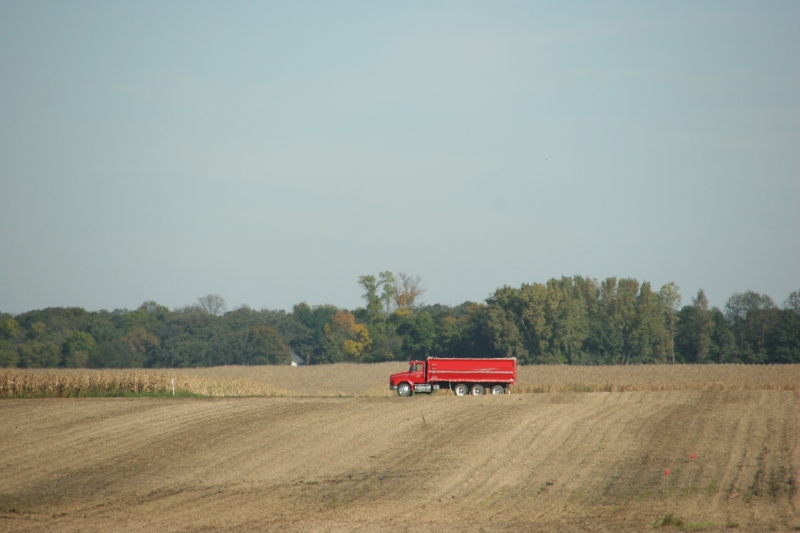 A red grain truck jolts color into a field near New Ulm.