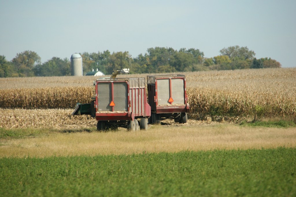 West of New Ulm, grain wagons sit in a field.