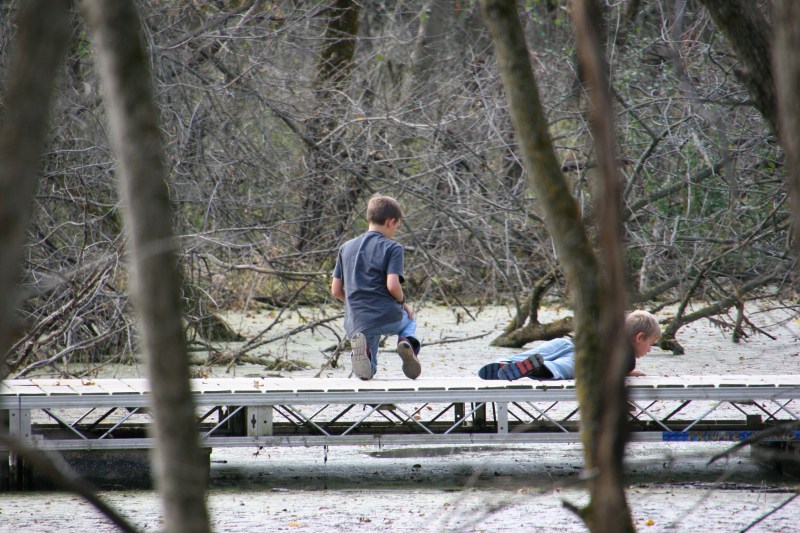 nature-center-22-boys-on-bridge-through-trees