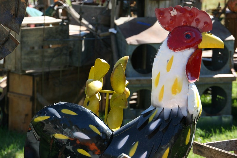 rustic-hinge-sale-93-rooster