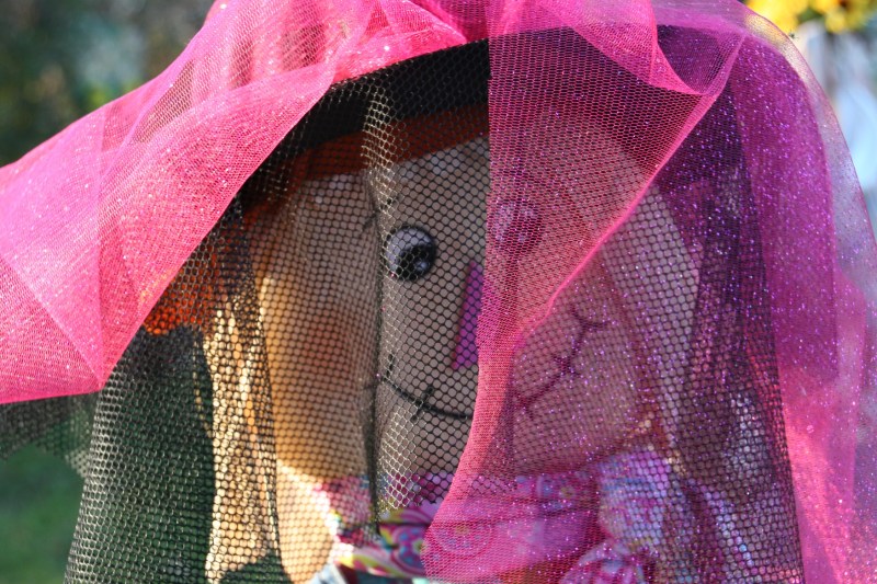 scarecrow-contest-259-veiled-scarecrow