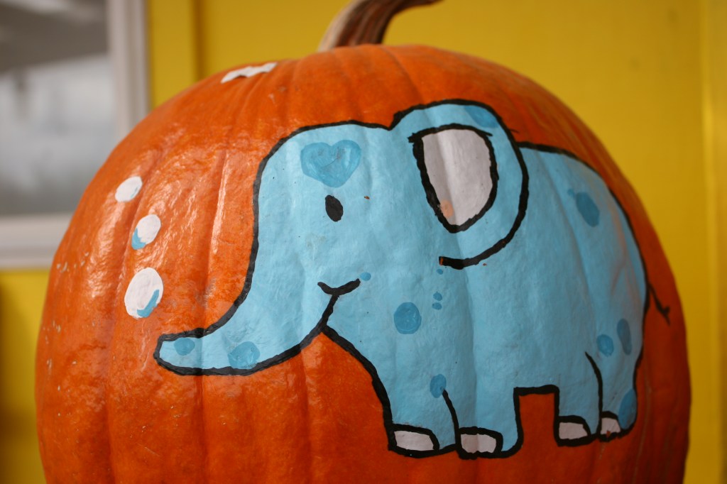 Some of the pumpkins for sale are painted. This was a favorite since it reminds me of Tufts University, my son's alma mater. Tufts' mascot is an elephant, its school color blue.