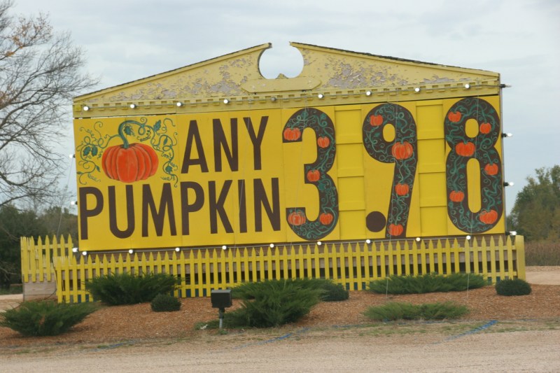 art-389-pumpkin-sign-close-up