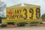 art-389-pumpkin-sign-close-up