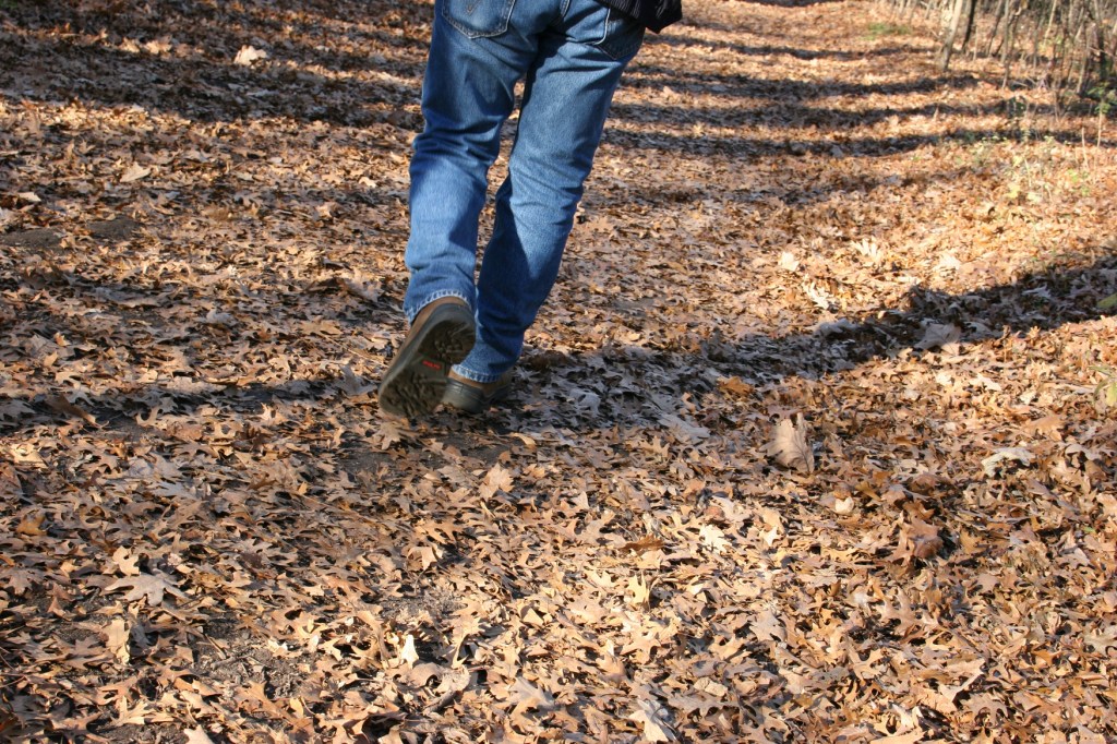 autumn-day-35-walking-in-leaves