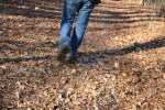 autumn-day-35-walking-in-leaves