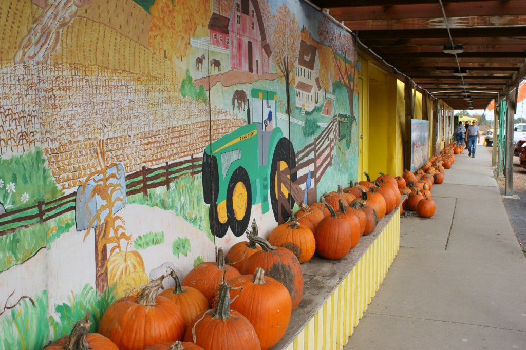 candy-store-321-pumpkins-and-mural-on-building