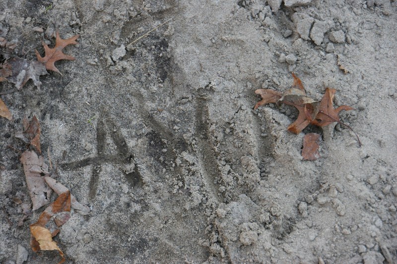 kaplans-woods-33-initials-in-dirt