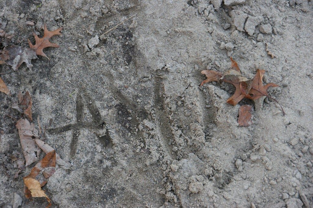 kaplans-woods-33-initials-in-dirt