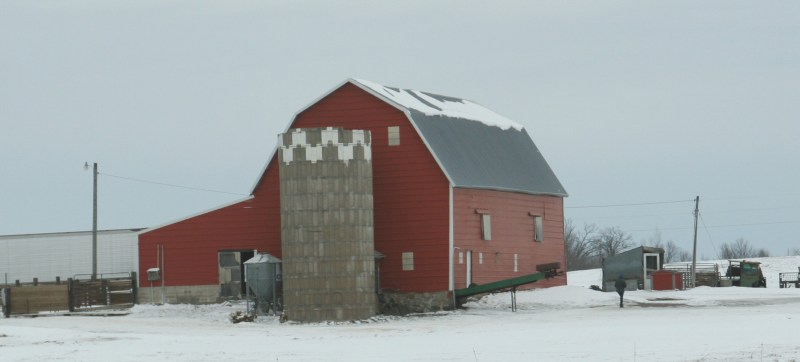 I especially appreciate the visual contrast of red barns, this one north of Gilman, against the white landscape.