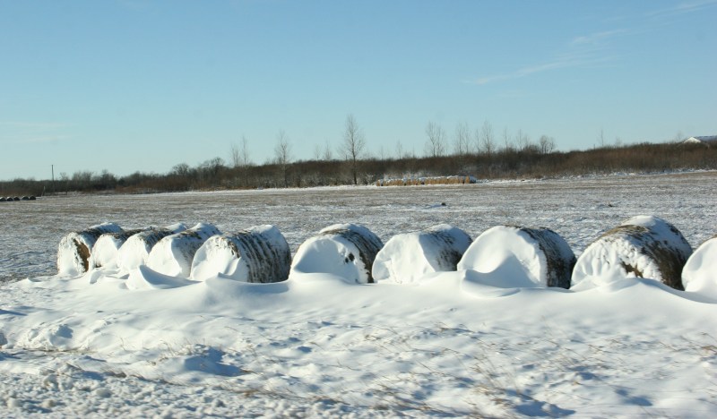Round hay bales create a snow fence along Highway 23.