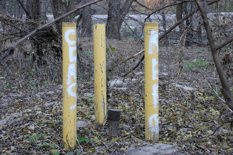 trail-22-posts-in-woods