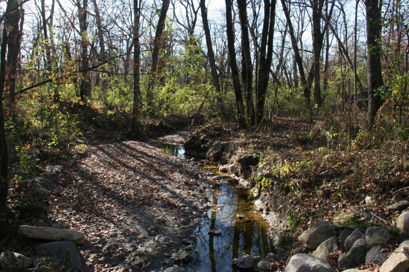 A creek in Kaplan's Woods.