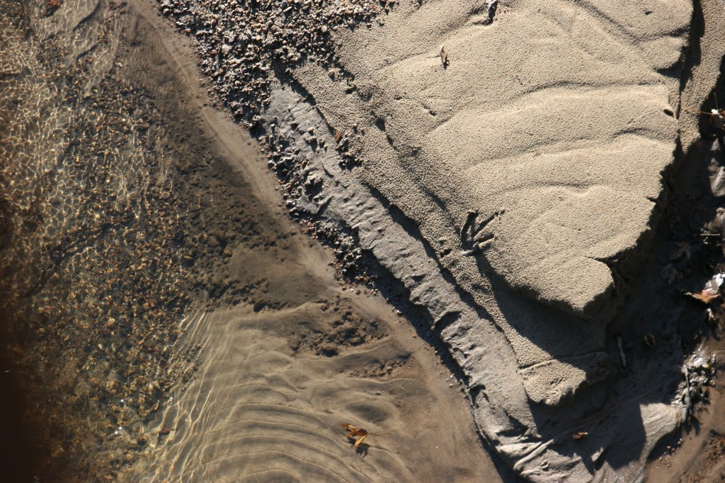 The water runs clear in the North Branch of the Zumbro River in Pine Island. Minnesota Prairie Roots file photo.