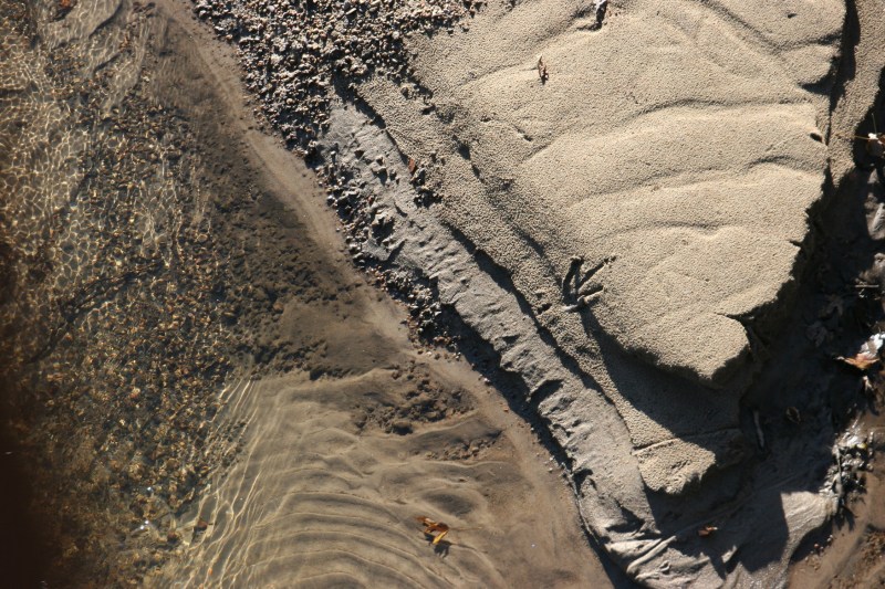 The water runs clear in the North Branch of the Zumbro River in Pine Island. Minnesota Prairie Roots file photo.