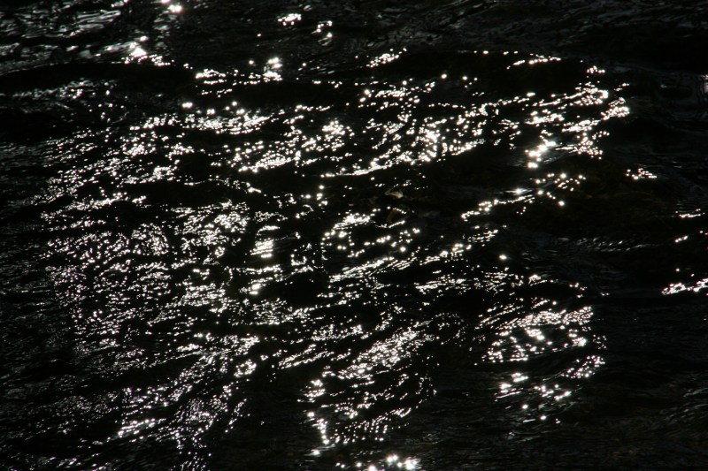 zumbro-river-233-close-up-of-water