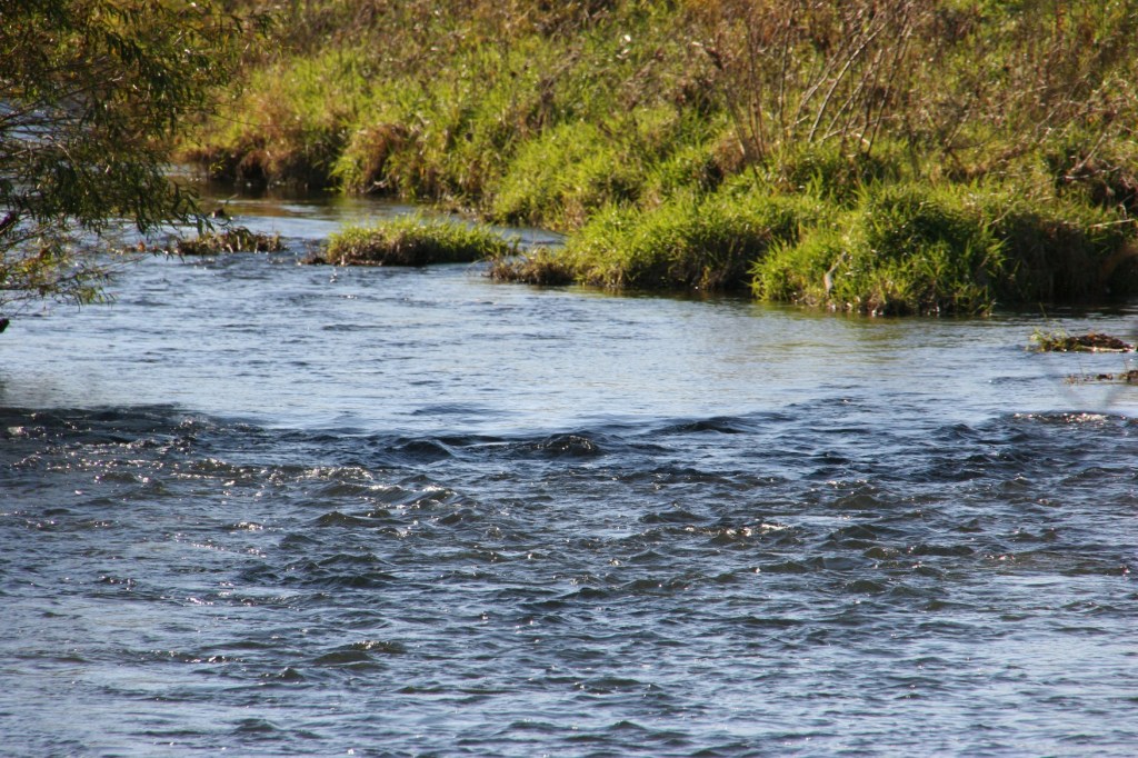 The Zumbro River in Pine Island. Minnesota Prairie Roots file photo.