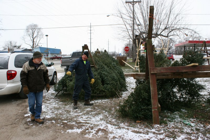 christmas-trees-10-ken-randy