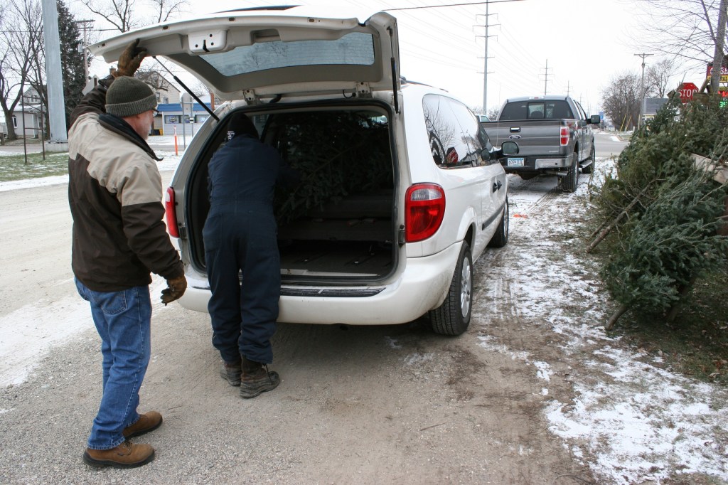christmas-trees-4-putting-tree-in-van