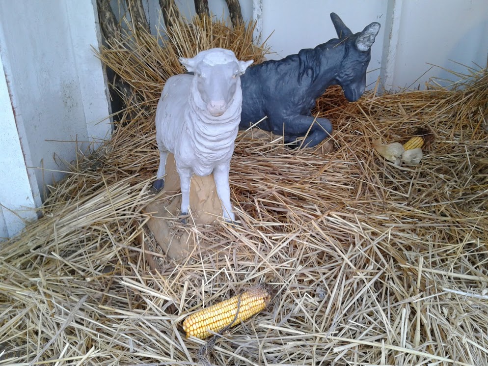 nativity-sheep-donkey
