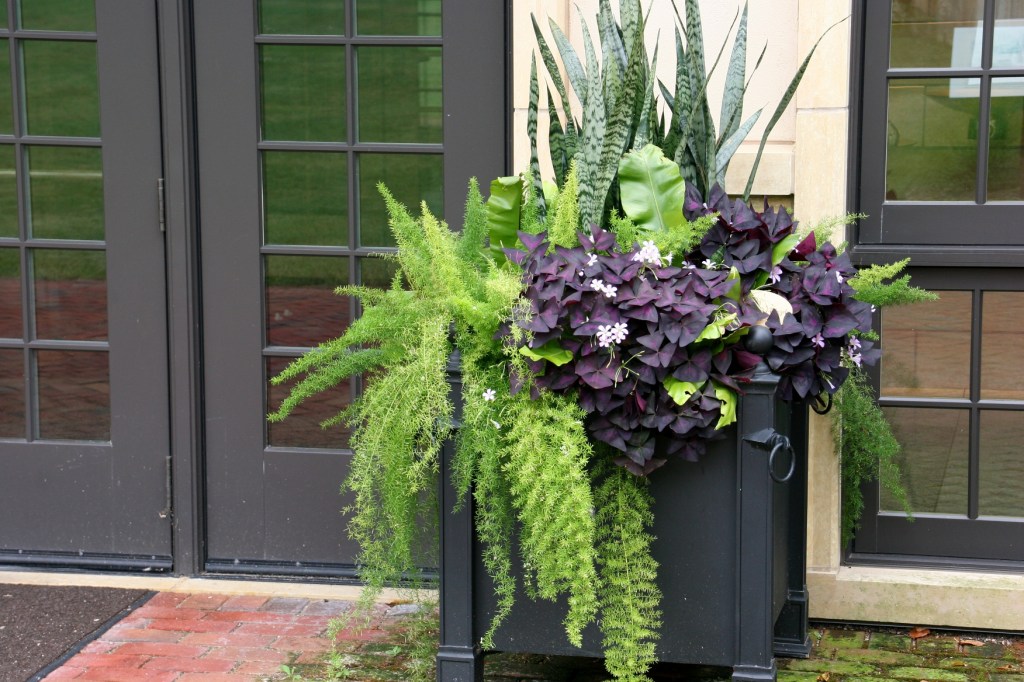 Artsy and beautiful planters abound, including this one outside the Carriage House.