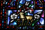 catholic-church-53-lamb-stained-glass