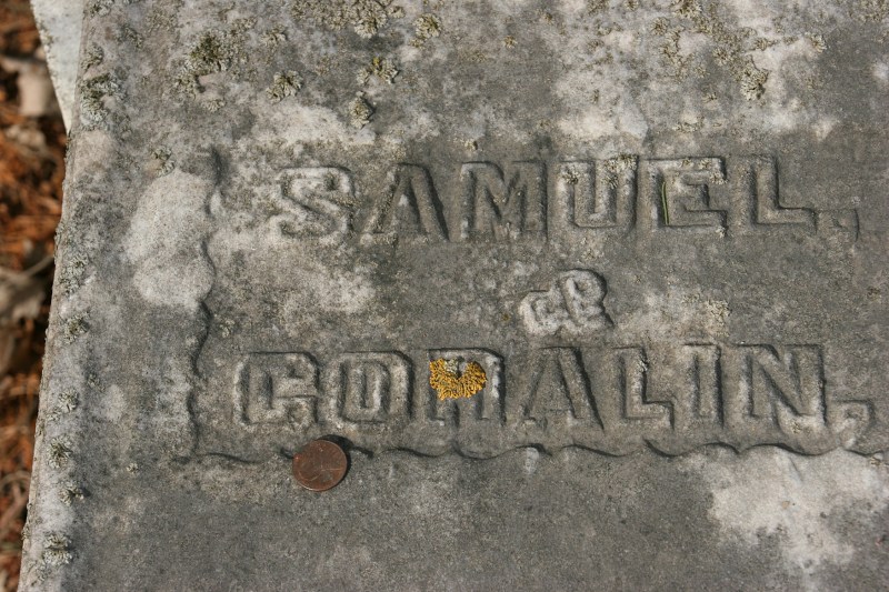 A penny on a headstone also marks a visit and is often a practice of those of Jewish faith. I spotted this coin on a headstone that includes a Star of David.