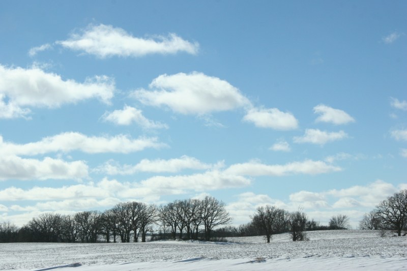 winter-landscape-10-trees