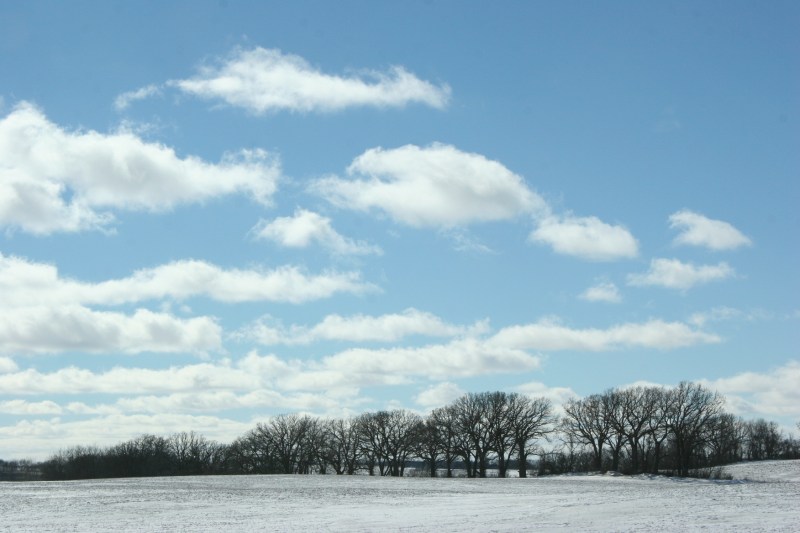 winter-landscape-12-treeline