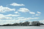 winter-landscape-12-treeline