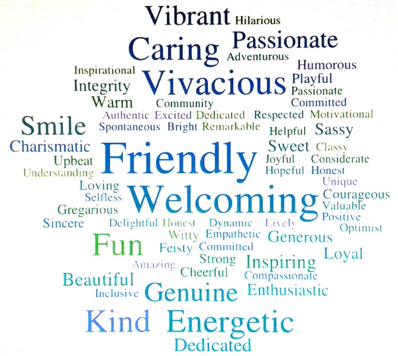 The words in this word cloud describe Barb Larson.