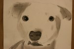 Student art, #48 dog by&nbsp;Victoria