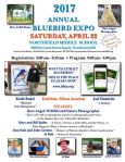 Bluebird Expo promo