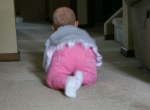 Izzy, #123 crawling to the&nbsp;stairs