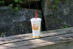 Burger King cup, #22 at nature&nbsp;center