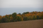 Autumn se Minnesota, #109 trees along CR&nbsp;12