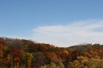 Harvest, #233 colorful treeline & blue blue&nbsp;sky