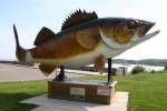 Mille Lacs Lake, #51 whole walleye