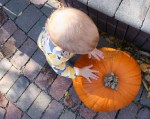 Pumpkin Patch, #161 Izzy’s hands on pumpkin
