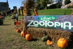 Zootopia, #58 welcome to&nbsp;sign