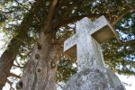 St. Jarlath Cemetery, #341 stone cross&nbsp;close-up